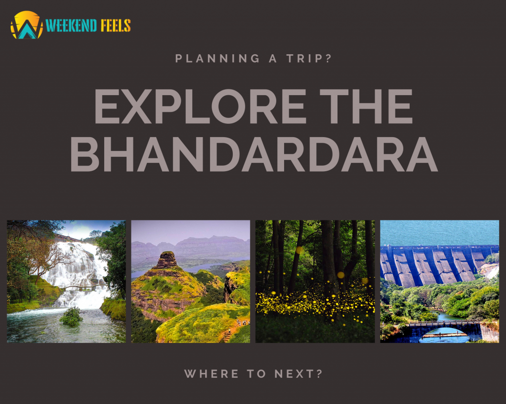 bhandardara tourism city