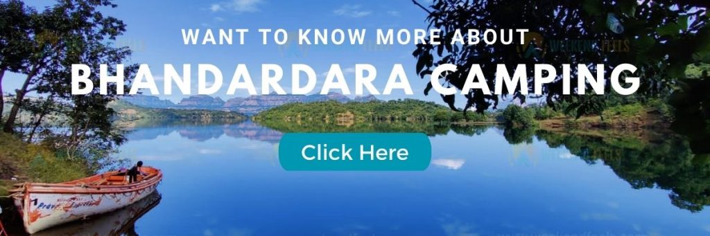 bhandardara tourism city