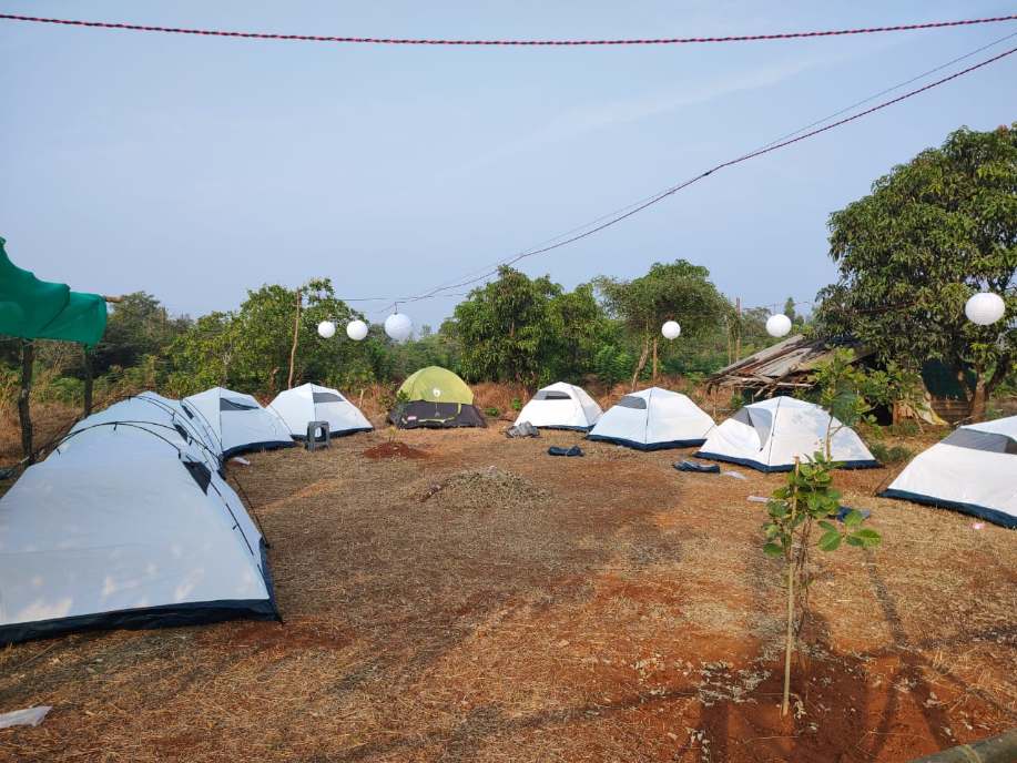 Dapoli Forest Camping